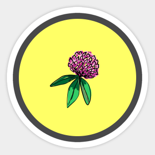 Clover with leaves Sticker